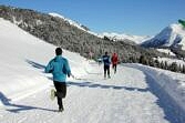 Schneemangel am Weisshorn bringt die Organisation ins Schwitzen